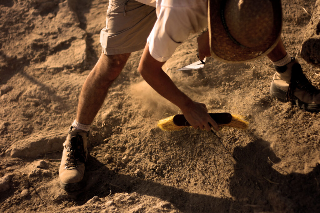 zVĚDAvosti: Lovci pokladů ve službách vědy